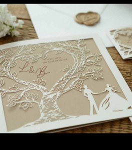 Hochzeitskarten D 4207 pint